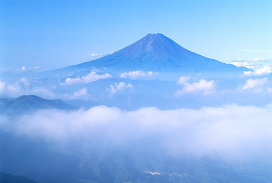 夏の朝