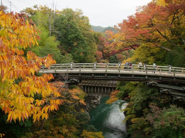 猿橋　紅葉.jpg