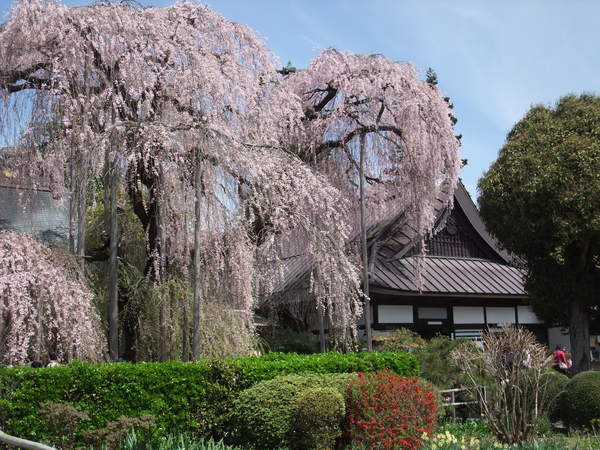 DSCF4151.JPG