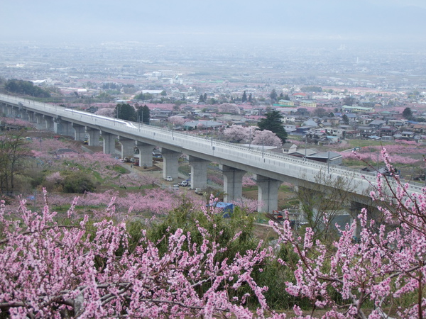 DSCF9463.JPG