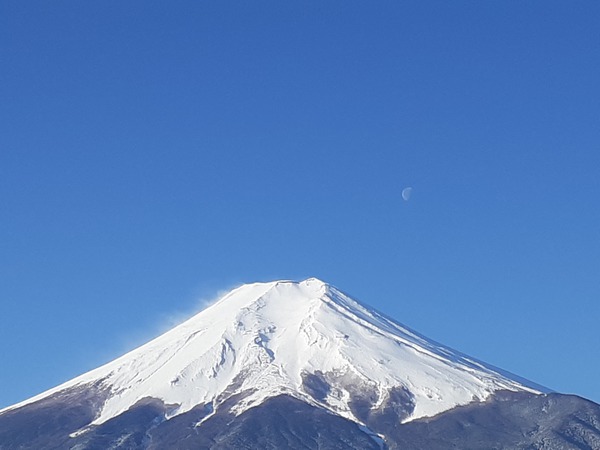 20250321_071745.jpg