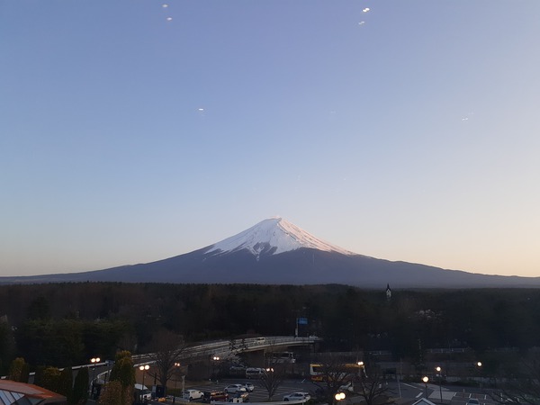 20250414_180254.jpg