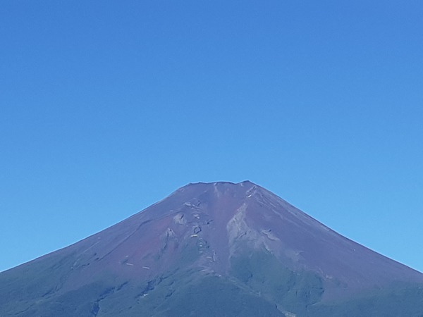 20250720_071810.jpg